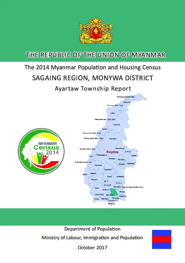 Township report (Sagaing) EN